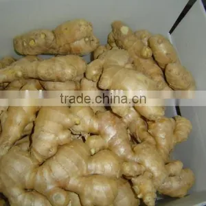 Chinese Fresh Air Dried Ginger thumbnail-4