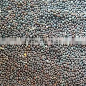 Rapeseed thumbnail-1