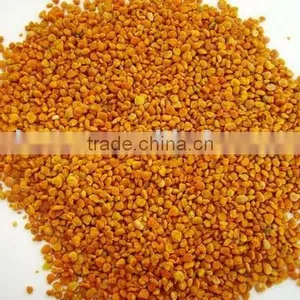 Camellia Bee Pollen Powder Hot Sale in America thumbnail-1