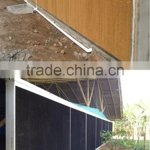 Automatic Chicken Rearing Equipment for Breeder thumbnail-4