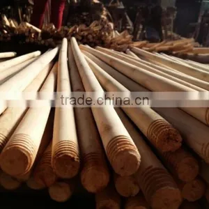 Dry Natural Broom Handle Wood Factory in Vietnam thumbnail-3