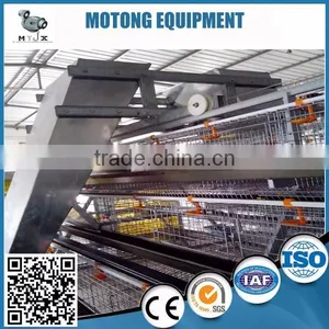 Poultry Chicken Cage Automatic thumbnail-1
