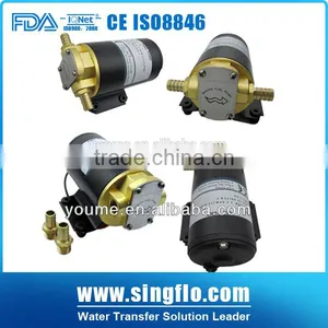 Singflo High Quality Stainless Steel 12VDC Small Oil Transfer Gear Pump thumbnail-1