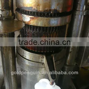 QI'E Sunflower Seed Press Cost thumbnail-3