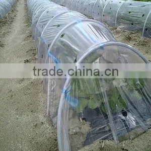PE Tunnel Film Agriculture Plastic Green Houses thumbnail-5