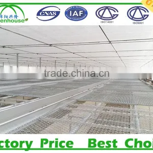 Nursery Plants Polycarbonate Sheet Greenhouse thumbnail-5