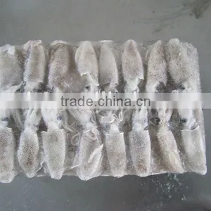 LATEST CATCHING CLEANED BQF Frozen Baby Squid thumbnail-1
