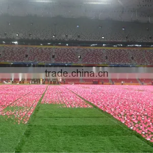 Artificial Grass for Beijing Paralympic Games thumbnail-1