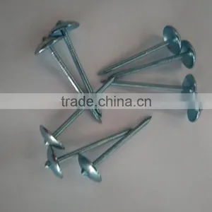 Blue Galvanized Roofing Nails to Indonesia thumbnail-4