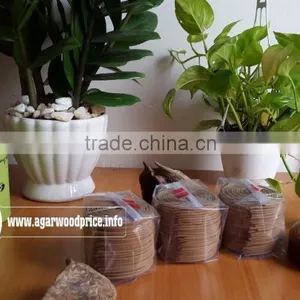 Nhang Thien Oud Coil Incense, Super Grade With 48 Coils per Pack for 3 Hours Burning for Nice Agarwood Scent thumbnail-1