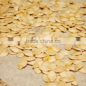 Pumpkin Seeds thumbnail-1