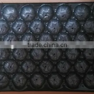 2016 Main Promotion Europe Market Popular Food Grade Polypropylene Fruit Nest Tray Made in China thumbnail-1