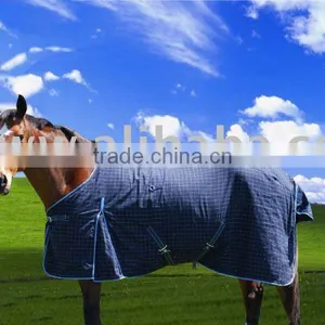 Summer Rug thumbnail-1