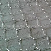 Galvanized Hexagonal Wire Netting/pvc Coated Hexagonal Wire Mesh thumbnail-1