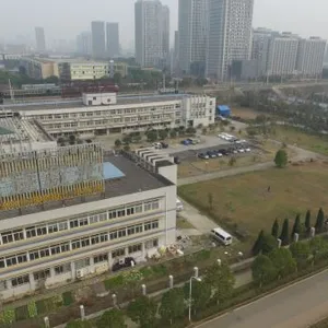 WUHAN HANS GOLDENSKY LASER SYSTEM CO., LTD. Language company overview - view 1 thumbnail