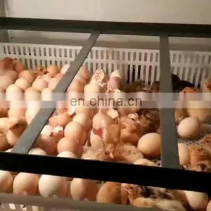 Chicken, Reptile, Bird, Emu, Ostrich, Duck Usage Egg Incubator and Hatcher thumbnail-1
