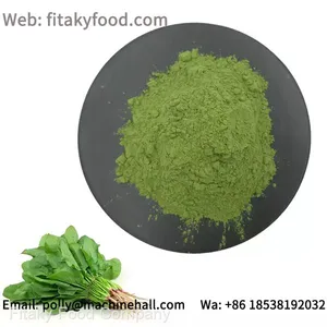 Organic Spinach Powder For Sale Without Any Food Additives thumbnail-1