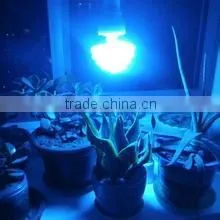 Hot Selling Uvb Lamps for Animal Health thumbnail-3