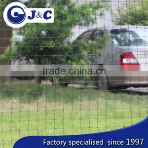Anti Pigeon Protection Netting for Exhibition Hall,greenhouse Net , Anti Bird Protection Net,PE Agricultural Bird Netting thumbnail-1