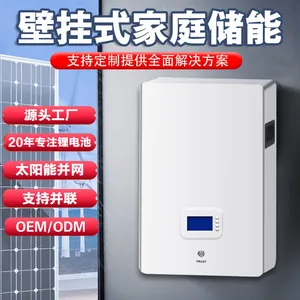 SCustomized Mobile Off-grid Energy Storage Lithium Iron Phosphate Battery 51.2V280AH314AH Home Energy Storage thumbnail-4