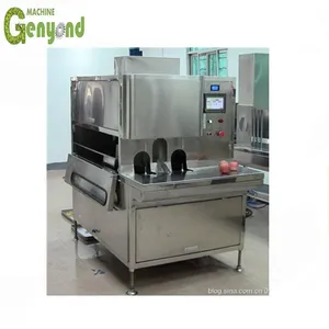 Mango Chips Mango Peeling Machine in Fruit Processing Line thumbnail-2