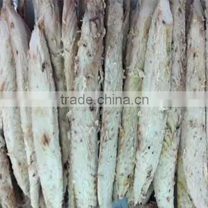Frozen Precooked Vacuum Packing Bonito Lion and Auxis Thazard thumbnail-2
