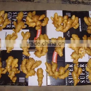 2015 Good Price of the Ginger From Shandong thumbnail-4