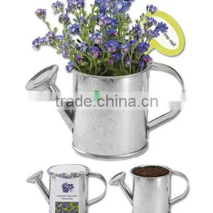 Herb Garden for Mini Watering Pot thumbnail-1