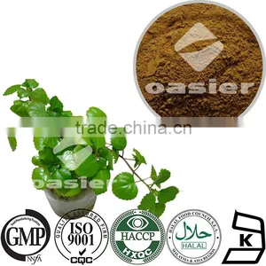 GMP Standard Factory Supply Plant Extract Ivy Extract Powder,Natural Ivy Extract,Ivy Leaves Extract thumbnail-1