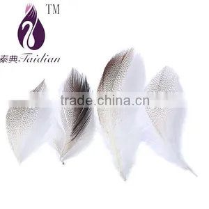 Black Point Feathers Bulk ,hair Feathers thumbnail-1