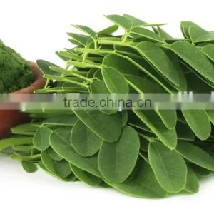 PKM1 Moringa Seed - India Origin thumbnail-6