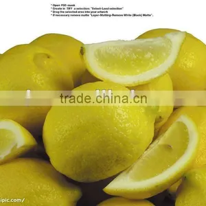 Chinese Lemon Supplier thumbnail-1