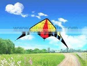Dual Line Delta Stunt Kites - Curved Edge Kites thumbnail-1