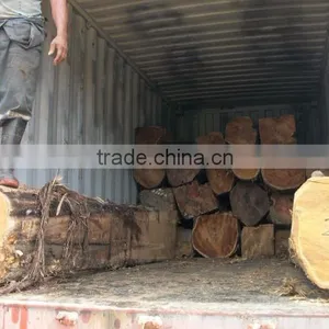 TEAK WOOD thumbnail-2