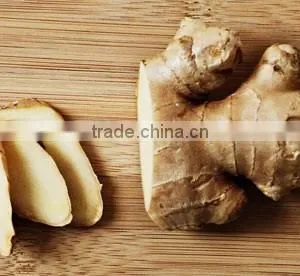 AIR DRIED GINGER 150G UP thumbnail-4