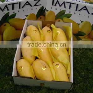 Pakistani Mango thumbnail-1
