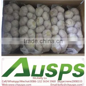 Garlic Exporters China thumbnail-2