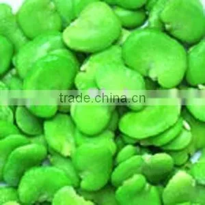 IQF Broad Bean Kernel thumbnail-1