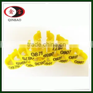 Plastic Chicken Feet Tag Chicken Rings/ Tags for Chicken thumbnail-1