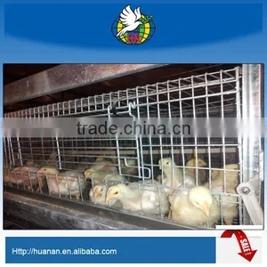 Stable and Efficient Broiler Chicken Cage thumbnail-1
