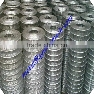 Galvanized 1/4 Inch Galvanized Welded Wire Mesh / Lowest Price Welded Wire Mesh thumbnail-4