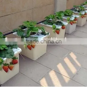 Drip Irrigation Hydroponics System Dutch Bucket for Strawberry thumbnail-2