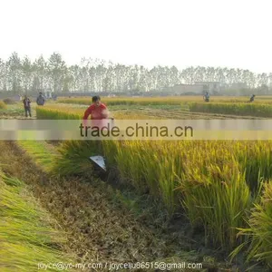 MINGYUE Harvester Head 4GL150 thumbnail-3