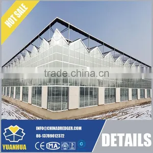 Venlo Type Glass Greenhouse for Vegetable and Flowers Growing thumbnail-1