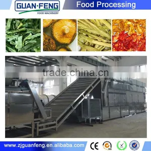 Vegetables and Fruits Dehydrator Spring Onion Drying Line thumbnail-1