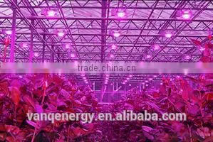 High Power Led Grow Lamp 150w for Greenhouse COB LED 150w Full Spetrum Best Wholesale thumbnail-1