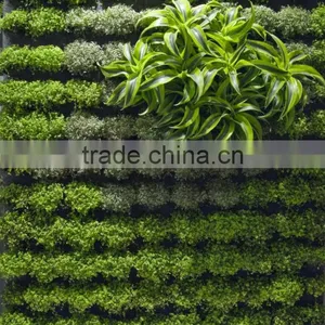 New Designed Fake/plastic/artificial Plant Wall for Landscaping thumbnail-1