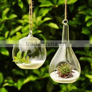 Wholesale Plant Terrarium Clear Glass Terrarium Globe Round Glass Globe Terrarium thumbnail-6