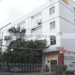 Guangdong Pisen Electronics Co., Ltd. company overview - view 1 thumbnail