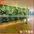 Wholesale Artificial Plastic Green Wall Plants With Garden Vertical System Green Wall Hanging Artificial Flowers for Decoration thumbnail-2